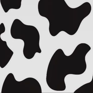 Meet your Posher, Lainey